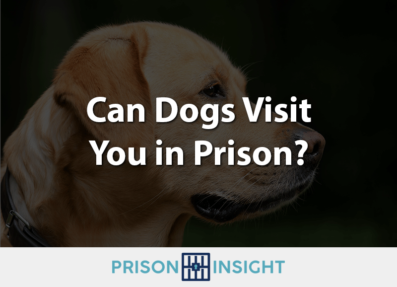 Can dogs visit you in prison