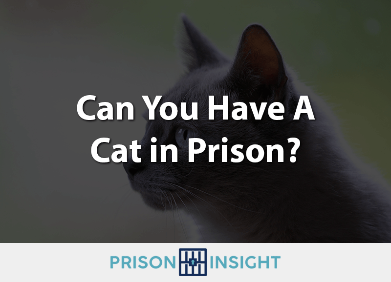 can you have a cat in prison