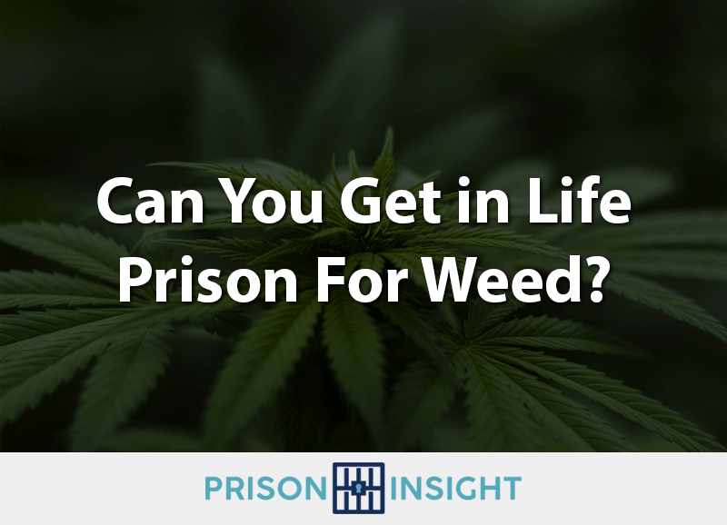 can you get in life prison for weed